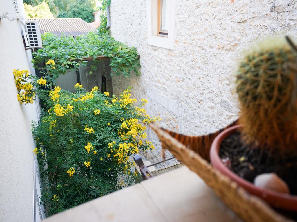 Apartment Krianca Zadar Zewnętrze zdjęcie